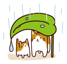 nyankoro stickers sticker #222886