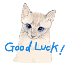 Catstamps-Shall we go with feeling cats? sticker #222943