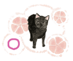 Catstamps-Shall we go with feeling cats? sticker #222950