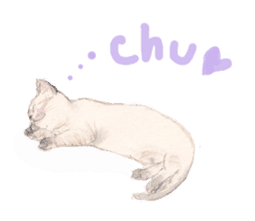 Catstamps-Shall we go with feeling cats? sticker #222967