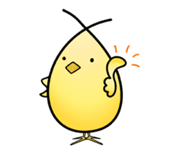 Group behavior chicken Piyo sticker #224010