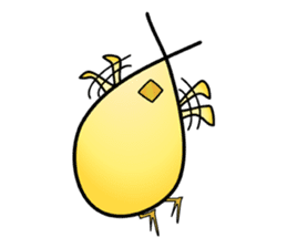 Group behavior chicken Piyo sticker #224015