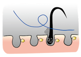 hair root now sticker #226915