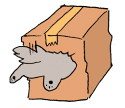 Flat cat sticker #227033