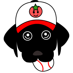 Pesticide-free tomatoes baseball team