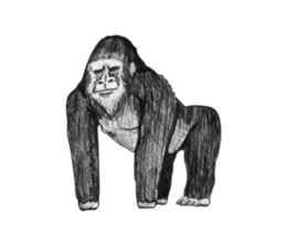 Gorilla sticker #231376