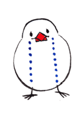 Birds,sometimes animals sticker #232844