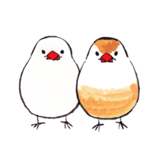 Birds,sometimes animals sticker #232846