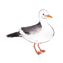 Birds,sometimes animals sticker #232878