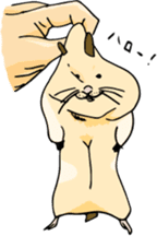 Cute & Strange Animals in Daily Life sticker #234847