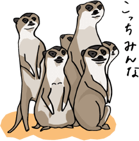 Cute & Strange Animals  in Daily Life sticker #234848