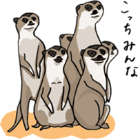 Cute & Strange Animals in Daily Life sticker #234848