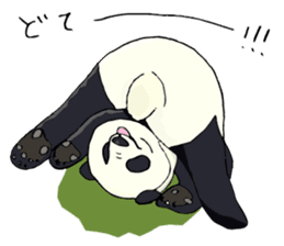 Cute & Strange Animals in Daily Life sticker #234850