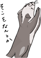 Cute & Strange Animals in Daily Life sticker #234856