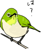 Cute & Strange Animals in Daily Life sticker #234862