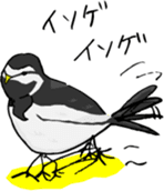 Cute & Strange Animals in Daily Life sticker #234864