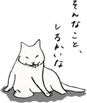 Cute & Strange Animals in Daily Life sticker #234868