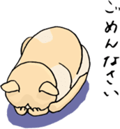 Cute & Strange Animals in Daily Life sticker #234869