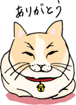 Cute & Strange Animals in Daily Life sticker #234870