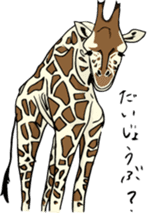Cute & Strange Animals  in Daily Life sticker #234871