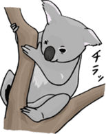 Cute & Strange Animals in Daily Life sticker #234872