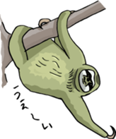 Cute & Strange Animals  in Daily Life sticker #234880