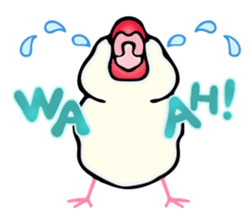 Happy Birds day! sticker #236616