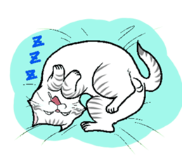 BUSAIKUNEKO sticker #238726