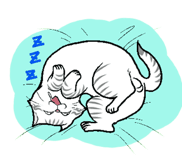 BUSAIKUNEKO sticker #238726