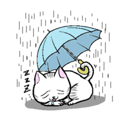 BUSAIKUNEKO sticker #238742