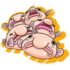 a Lovely blobfish