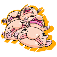 A Lovely Blobfish By Takatoshi A Lovely Blobfish By Takatoshi