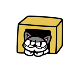 11Cats Story sticker #239285