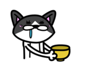 11Cats Story sticker #239289