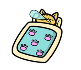 11Cats Story sticker #239292