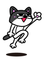 11Cats Story sticker #239306