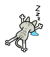 11Cats Story sticker #239308