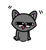 11Cats Story sticker #239312