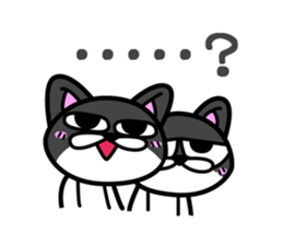 11Cats Story sticker #239319