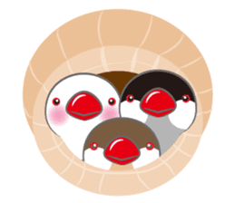 inorinco sticker #239785