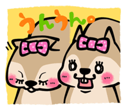 comedy of the squirrel sticker #241944