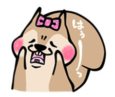 comedy of the squirrel sticker #241945