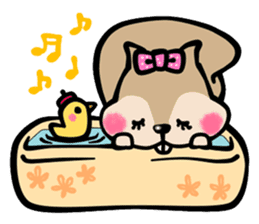 comedy of the squirrel sticker #241959