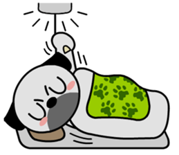 PUGS' GROOVE sticker #242088