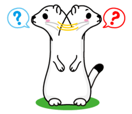 Mustela erminea theater sticker #242612