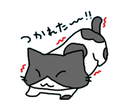 [CAT]KAKEHIRORIN[CAT] sticker #242884