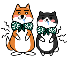 FUROSHIKI PET sticker #244504