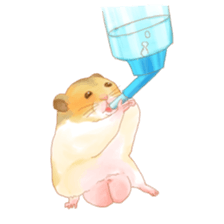 small animal sticker #245027