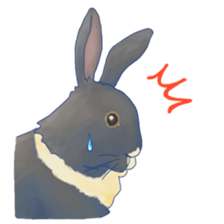 small animal sticker #245035