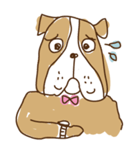 Dr.Bull, Dog sticker #245901
